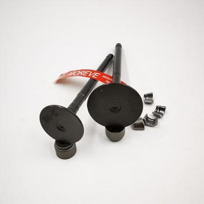 Engine valves Bajaj Re BS-6